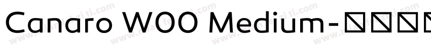 Canaro W00 Medium字体转换